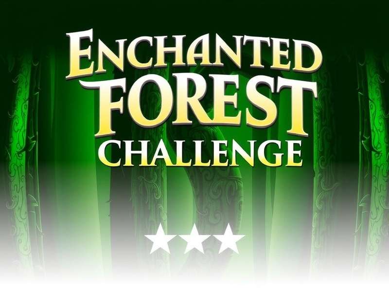 Enchanted Forest Challenge Reviews
